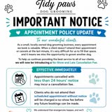 Professional dog grooming session